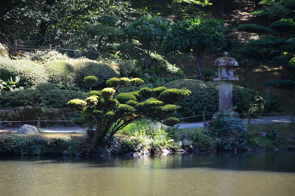jardin japonais