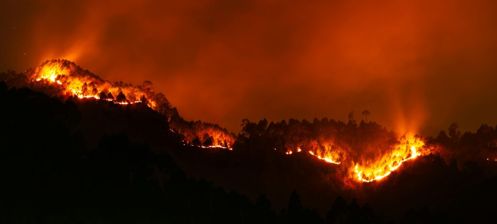 incendie de foret